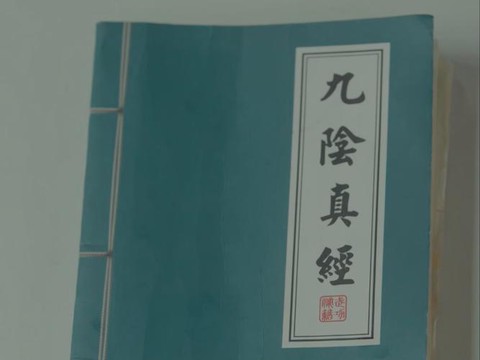 九阴真经怎么录制视频[图2]