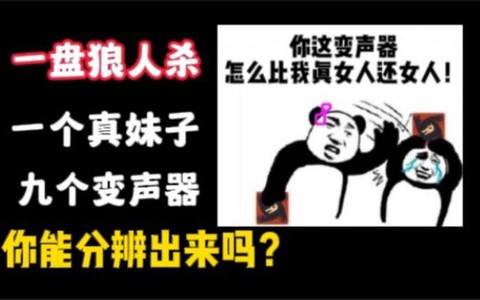 狼人杀语音怎么变声[图2]