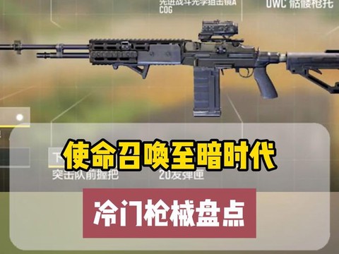 使命召唤命运是什么枪