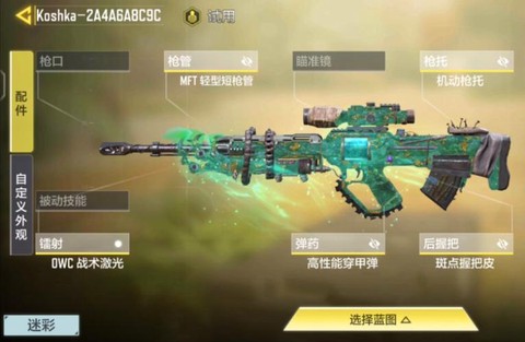 使命召唤命运是什么枪[图1]