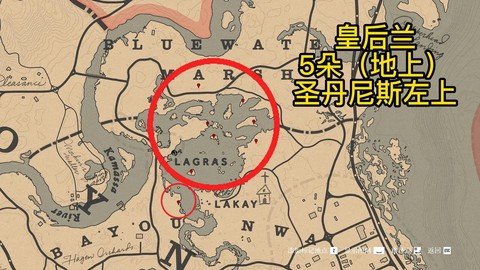 荒野大镖客2怎么标点