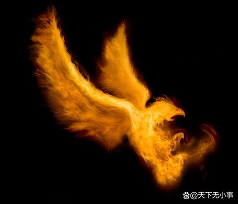 问道手游大日金乌怎么杀