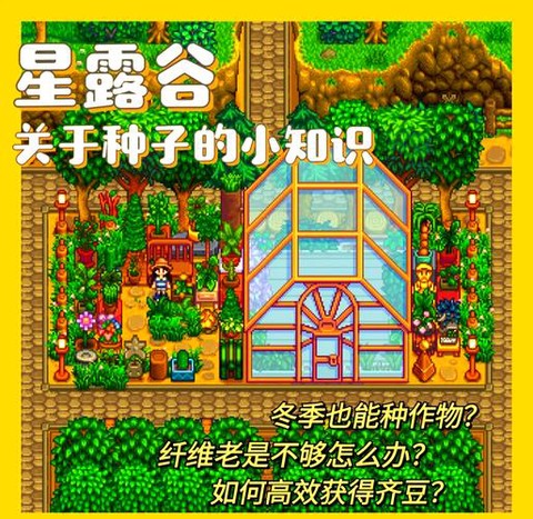 星露谷物语怎么种草籽[图2]