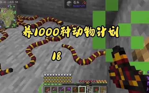 我的世界怎么养宠物