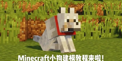 我的世界怎么养宠物[图1]