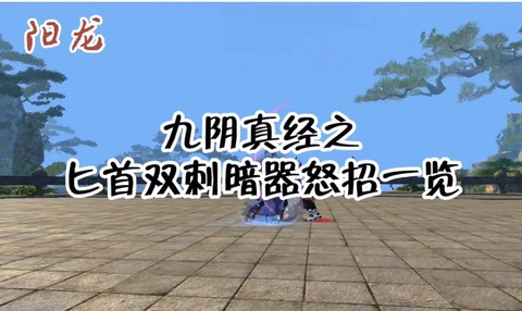 九阴真经暗器怎么用