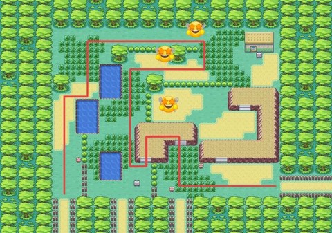 口袋妖怪火红怎么去彩虹市[图1]