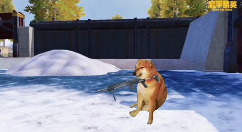 绝地求生狗子是什么[图2]