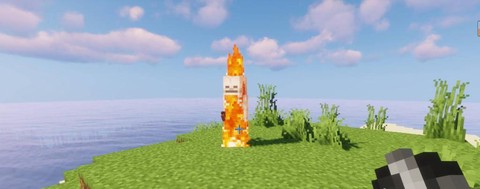 我的世界骷髅怎么驯服[图2]