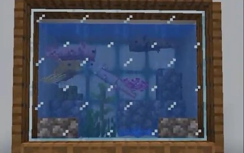 我的世界鱼缸怎么做[图2]